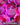 Imouri Chan Wholesome Chibi Anime Plushy Doll