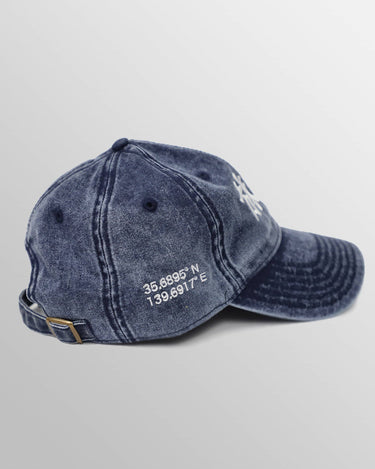 Vintage Japanese Streetwear Dad Hat