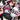 Kawaii Anime Girl Sticker