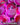 Imouri Chan Wholesome Chibi Anime Plushy Doll 