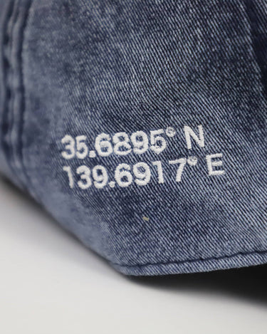 Vintage Japanese Streetwear Dad Hat 